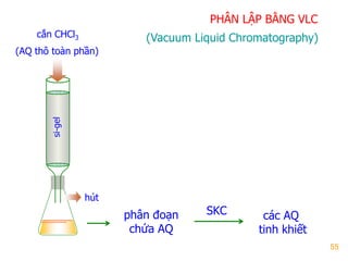 55
PHÂN LẬP BẰNG VLC
hút
si-gel
phân đoạn
chứa AQ
SKC các AQ
tinh khiết
(Vacuum Liquid Chromatography)cắn CHCl3
(AQ thô toàn phần)
 