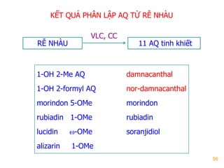 56
1-OH 2-Me AQ damnacanthal
1-OH 2-formyl AQ nor-damnacanthal
morindon 5-OMe morindon
rubiadin 1-OMe rubiadin
lucidin -OMe soranjidiol
alizarin 1-OMe
KẾT QUẢ PHÂN LẬP AQ TỪ RỄ NHÀU
RỄ NHÀU 11 AQ tinh khiết
VLC, CC
 
