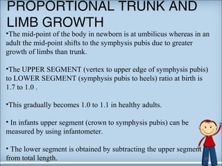 PROPORTIONAL TRUNK AND 
LIMB GROWTH 
•The mid-point of the body in newborn is at umbilicus whereas in an 
adult the mid-point shifts to the symphysis pubis due to greater 
growth of limbs than trunk. 
•The UPPER SEGMENT (vertex to upper edge of symphysis pubis) 
to LOWER SEGMENT (symphysis pubis to heels) ratio at birth is 
1.7 to 1.0 . 
•This gradually becomes 1.0 to 1.1 in healthy adults. 
• In infants upper segment (crown to symphysis pubis) can be 
measured by using infantometer. 
• The lower segment is obtained by subtracting the upper segment 
from total length. 
41 
 