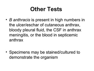 Anthrax 1 | PPT