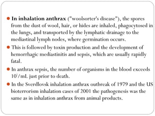 In inhalation anthrax ("woolsorter's disease"), the spores
 from the dust of wool, hair, or hides are inhaled, phagocytosed in
 the lungs, and transported by the lymphatic drainage to the
 mediastinal lymph nodes, where germination occurs.
This is followed by toxin production and the development of
 hemorrhagic mediastinitis and sepsis, which are usually rapidly
 fatal.
In anthrax sepsis, the number of organisms in the blood exceeds
 107/mL just prior to death.
In the Sverdlovsk inhalation anthrax outbreak of 1979 and the US
 bioterrorism inhalation cases of 2001 the pathogenesis was the
 same as in inhalation anthrax from animal products.
 