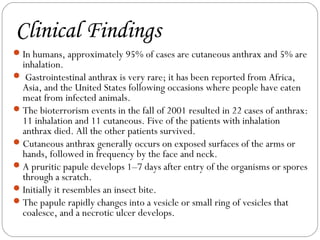 Clinical Findings
 In humans, approximately 95% of cases are cutaneous anthrax and 5% are
  inhalation.
 Gastrointestinal anthrax is very rare; it has been reported from Africa,
  Asia, and the United States following occasions where people have eaten
  meat from infected animals.
 The bioterrorism events in the fall of 2001 resulted in 22 cases of anthrax:
  11 inhalation and 11 cutaneous. Five of the patients with inhalation
  anthrax died. All the other patients survived.
 Cutaneous anthrax generally occurs on exposed surfaces of the arms or
  hands, followed in frequency by the face and neck.
 A pruritic papule develops 1–7 days after entry of the organisms or spores
  through a scratch.
 Initially it resembles an insect bite.
 The papule rapidly changes into a vesicle or small ring of vesicles that
  coalesce, and a necrotic ulcer develops.
 