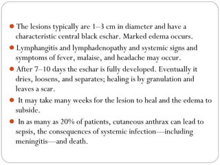 The lesions typically are 1–3 cm in diameter and have a
 characteristic central black eschar. Marked edema occurs.
Lymphangitis and lymphadenopathy and systemic signs and
 symptoms of fever, malaise, and headache may occur.
After 7–10 days the eschar is fully developed. Eventually it
 dries, loosens, and separates; healing is by granulation and
 leaves a scar.
 It may take many weeks for the lesion to heal and the edema to
 subside.
 In as many as 20% of patients, cutaneous anthrax can lead to
 sepsis, the consequences of systemic infection—including
 meningitis—and death.
 