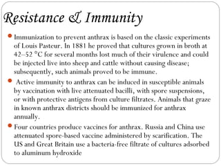 Resistance & Immunity
Immunization to prevent anthrax is based on the classic experiments
 of Louis Pasteur. In 1881 he proved that cultures grown in broth at
 42–52 °C for several months lost much of their virulence and could
 be injected live into sheep and cattle without causing disease;
 subsequently, such animals proved to be immune.
 Active immunity to anthrax can be induced in susceptible animals
 by vaccination with live attenuated bacilli, with spore suspensions,
 or with protective antigens from culture filtrates. Animals that graze
 in known anthrax districts should be immunized for anthrax
 annually.
Four countries produce vaccines for anthrax. Russia and China use
 attenuated spore-based vaccine administered by scarification. The
 US and Great Britain use a bacteria-free filtrate of cultures adsorbed
 to aluminum hydroxide
 