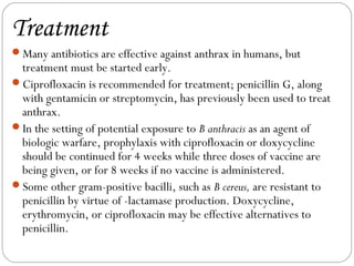 Treatment
Many antibiotics are effective against anthrax in humans, but
 treatment must be started early.
Ciprofloxacin is recommended for treatment; penicillin G, along
 with gentamicin or streptomycin, has previously been used to treat
 anthrax.
In the setting of potential exposure to B anthracis as an agent of
 biologic warfare, prophylaxis with ciprofloxacin or doxycycline
 should be continued for 4 weeks while three doses of vaccine are
 being given, or for 8 weeks if no vaccine is administered.
Some other gram-positive bacilli, such as B cereus, are resistant to
 penicillin by virtue of -lactamase production. Doxycycline,
 erythromycin, or ciprofloxacin may be effective alternatives to
 penicillin.
 