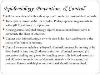 Epidemiology, Prevention, & Control
 Soil is contaminated with anthrax spores from the carcasses of dead animals.
 These spores remain viable for decades. Perhaps spores can germinate in
  soil at pH 6.5 at proper temperature.
 Grazing animals infected through injured mucous membranes serve to
  perpetuate the chain of infection.
 Contact with infected animals or with their hides, hair, and bristles is the
  source of infection in humans.
 Control measures include (1) disposal of animal carcasses by burning or by
  deep burial in lime pits, (2) decontamination of animal products, (3)
  protective clothing and gloves for handling potentially infected materials,
  and (4) active immunization of domestic animals with live attenuated
  vaccines. Persons with high occupational risk should be immunized.
 