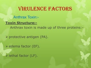 Virulence Factors
     Anthrax Toxin:-
Toxin Structure:-
  Anthrax toxin is made up of three proteins:-

 protective antigen (PA).

 edema factor (EF).

 lethal factor (LF).
 