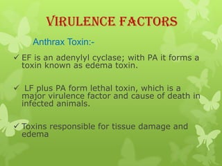 Virulence Factors
    Anthrax Toxin:-
 EF is an adenylyl cyclase; with PA it forms a
  toxin known as edema toxin.

 LF plus PA form lethal toxin, which is a
 major virulence factor and cause of death in
 infected animals.

 Toxins responsible for tissue damage and
  edema
 