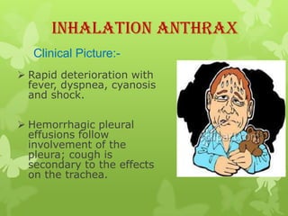 Inhalation Anthrax
   Clinical Picture:-
 Rapid deterioration with
  fever, dyspnea, cyanosis
  and shock.

 Hemorrhagic pleural
  effusions follow
  involvement of the
  pleura; cough is
  secondary to the effects
  on the trachea.
 