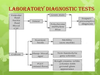 Laboratory Diagnostic Tests
 