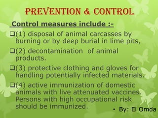 Prevention & Control
Control measures include :-
(1) disposal of animal carcasses by
 burning or by deep burial in lime pits,
(2) decontamination of animal
 products.
(3) protective clothing and gloves for
 handling potentially infected materials.
(4) active immunization of domestic
 animals with live attenuated vaccines.
 Persons with high occupational risk
 should be immunized.         • By: El Omda
 