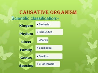 Causative Organism
Scientific classification:-
              • Bacteria
    Kingom
              • Firmicutes
    Phylum
 ...