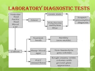 Laboratory Diagnostic Tests
Lab Characters
 Virulent anthrax cultures kill mice upon
  intraperitoneal injection.


 Dem...
