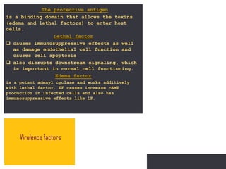 P: 555.123.4568 F: 555.123.4567
123 West Main Street, New York,
NY 10001
www.rightcare.com|
The protective antigen
is a binding domain that allows the toxins
(edema and lethal factors) to enter host
cells.
Lethal factor
 causes immunosuppressive effects as well
as damage endothelial cell function and
causes cell apoptosis
 also disrupts downstream signaling, which
is important in normal cell functioning.
Edema factor
is a potent adenyl cyclase and works additively
with lethal factor. EF causes increase cAMP
production in infected cells and also has
immunosuppressive effects like LF.
Virulence factors
 