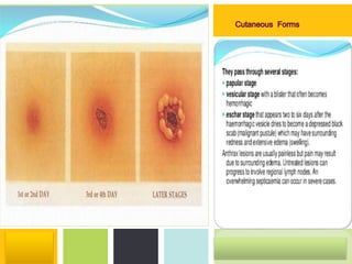 P: 555.123.4568 F: 555.123.4567
123 West Main Street, New York,
NY 10001
www.rightcare.com|
 