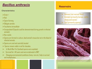 P: 555.123.4568 F: 555.123.4567
123 West Main Street, New York,
NY 10001
www.rightcare.com|
Characteristics
Gram +
Rod
Spore forming
Obligate aerobic
Facultative intracellular
Encapsulated (Capsule could be demonstrated during growth in infected
animals)
Non-motile
Spores are formed in culture, dead animal's tissue but not in the blood of
infected animals.
Spores are oval and centrally located
 Spores remain viable in soil for decades.
· In World War II in Scotland spores were exploded.
· Survived for >40 years and were eradicated in 1987
· Changing environmental conditions (temp. rain etc.) help in survival
and multiplication.
Bacillus anthracis Reservoirs
 Humans (not normal flora)
 Animals (primarily horses, cattle,
sheep and swine)
 Soil (primarily spores)
 