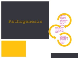 P: 555.123.4568 F: 555.123.4567
123 West Main Street, New York,
NY 10001
www.rightcare.com|
B. anthracis
pathogenesis
begins by the
spores entering a
skin abrasion,
lungs, or
intestines.
There, the spores
are ingested by
macrophages and
brought to lymph
nodes.
The bacteria
germinate in the
lymph nodes or
mediastinum, in
the case of
inhalation
anthrax.
Pathogenesis
 
