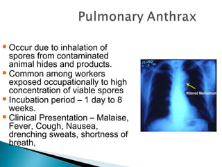 Occur due to inhalation of
spores from contaminated
animal hides and products.
Common among workers
exposed occupationally to high
concentration of viable spores
Incubation period – 1 day to 8
weeks.
Clinical Presentation – Malaise,
Fever, Cough, Nausea,
drenching sweats, shortness of
breath,
 
