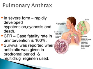 In severe form – rapidly
developed
hypotension,cyanosis and
death.
CFR – Case fatality rate in
unintervention is 100%.
Survival was reported when
antibiotic was given in
prodromal period &
multidrug regimen used.
 