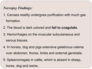 Necropsy Findings:
1. Carcass readily undergoes purification with much gas
formation.
2. The blood is dark colored and fail to coagulate.
3. Hemorrhages on the muscular subcutaneous and
serous tissues.
4. In horses, dog and pigs extensive gelatinous odema
over abdomen, thorax, limbs and external genetalia.
5. Spleenomegaly in cattle, which is absent in sheep,
horse, dog and swine.
 
