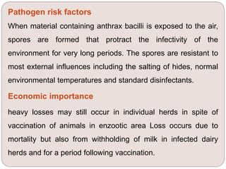 Pathogen risk factors
When material containing anthrax bacilli is exposed to the air,
spores are formed that protract the infectivity of the
environment for very long periods. The spores are resistant to
most external influences including the salting of hides, normal
environmental temperatures and standard disinfectants.
Economic importance
heavy losses may still occur in individual herds in spite of
vaccination of animals in enzootic area Loss occurs due to
mortality but also from withholding of milk in infected dairy
herds and for a period following vaccination.
 