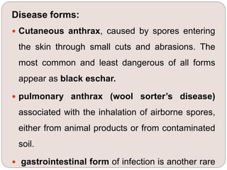 Disease forms:
 Cutaneous anthrax, caused by spores entering
the skin through small cuts and abrasions. The
most common and least dangerous of all forms
appear as black eschar.
 pulmonary anthrax (wool sorter’s disease)
associated with the inhalation of airborne spores,
either from animal products or from contaminated
soil.
 gastrointestinal form of infection is another rare
 