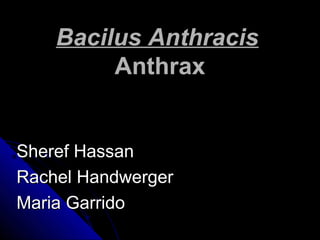Bacilus AnthracisBacilus Anthracis
AnthraxAnthrax
Sheref HassanSheref Hassan
Rachel HandwergerRachel Handwerger
Maria GarridoMaria Garrido
 
