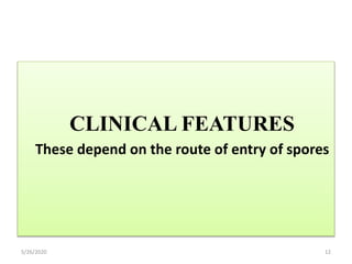 CLINICAL FEATURES
These depend on the route of entry of spores
5/26/2020 12
 