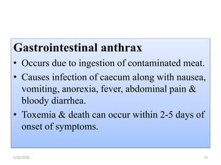 Gastrointestinal anthrax
• Occurs due to ingestion of contaminated meat.
• Causes infection of caecum along with nausea,
vomiting, anorexia, fever, abdominal pain &
bloody diarrhea.
• Toxemia & death can occur within 2-5 days of
onset of symptoms.
5/26/2020 15
 