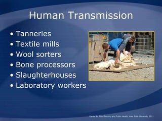 Human Transmission
• Tanneries
• Textile mills
• Wool sorters
• Bone processors
• Slaughterhouses
• Laboratory workers
Center for Food Security and Public Health, Iowa State University, 2011
 
