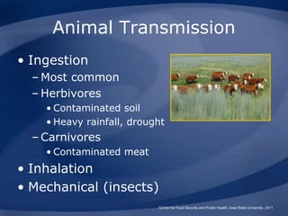 Animal Transmission
• Ingestion
– Most common
– Herbivores
• Contaminated soil
• Heavy rainfall, drought
– Carnivores
• Contaminated meat
• Inhalation
• Mechanical (insects)
Center for Food Security and Public Health, Iowa State University, 2011
 