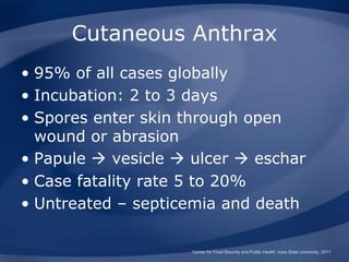 Cutaneous Anthrax
• 95% of all cases globally
• Incubation: 2 to 3 days
• Spores enter skin through open
wound or abrasion
• Papule  vesicle  ulcer  eschar
• Case fatality rate 5 to 20%
• Untreated – septicemia and death
Center for Food Security and Public Health, Iowa State University, 2011
 