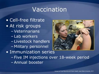 Vaccination
• Cell-free filtrate
• At risk groups
– Veterinarians
– Lab workers
– Livestock handlers
– Military personnel
• Immunization series
– Five IM injections over 18-week period
– Annual booster
Center for Food Security and Public Health, Iowa State University, 2011
 