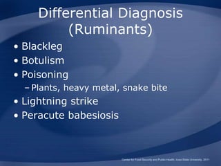 Differential Diagnosis
(Ruminants)
• Blackleg
• Botulism
• Poisoning
– Plants, heavy metal, snake bite
• Lightning strike
• Peracute babesiosis
Center for Food Security and Public Health, Iowa State University, 2011
 