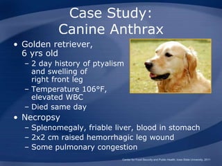 Case Study:
Canine Anthrax
• Golden retriever,
6 yrs old
– 2 day history of ptyalism
and swelling of
right front leg
– Temperature 106°F,
elevated WBC
– Died same day
• Necropsy
– Splenomegaly, friable liver, blood in stomach
– 2x2 cm raised hemorrhagic leg wound
– Some pulmonary congestion
Center for Food Security and Public Health, Iowa State University, 2011
 