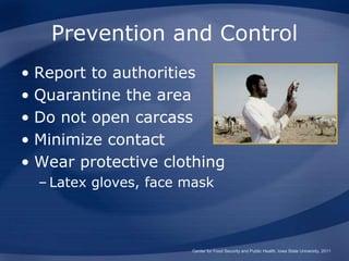 Prevention and Control
• Report to authorities
• Quarantine the area
• Do not open carcass
• Minimize contact
• Wear protective clothing
– Latex gloves, face mask
Center for Food Security and Public Health, Iowa State University, 2011
 