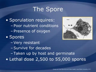 The Spore
• Sporulation requires:
– Poor nutrient conditions
– Presence of oxygen
• Spores
– Very resistant
– Survive for decades
– Taken up by host and germinate
• Lethal dose 2,500 to 55,000 spores
Center for Food Security and Public Health, Iowa State University, 2011
 