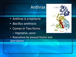 Anthrax | PPTX