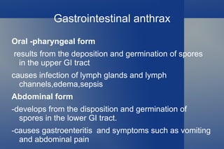 1995 - Iraq produced 8,500 liters of concentrated anthrax as part of the biological weapon program under  Saddam Hussein’s  administration. 