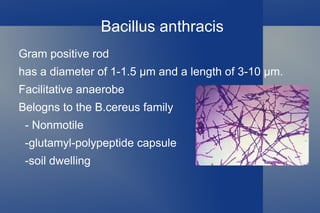 Three forms -Cutaneous -Inhalational -Gastrointestinal 