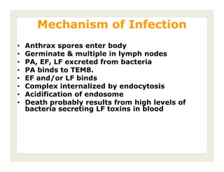 Mechanism of Infection
•   Anthrax spores enter body
•   Germinate & multiple in lymph nodes
•   PA, EF, LF excreted from bacteria
•   PA binds to TEM8.
•   EF and/or LF binds
•   Complex internalized by endocytosis
•   Acidification of endosome
•   Death probably results from high levels of
    bacteria secreting LF toxins in blood
 