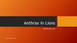 Anthrax in Lions 
Adriana De Luna 
Nambeye, Piontkowski, Ndiva 
 