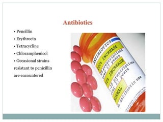 Antibiotics
• Pencillin
• Erythrocin
• Tetracycline
• Chloramphenicol
• Occasional strains
resistant to penicillin
are encountered
 