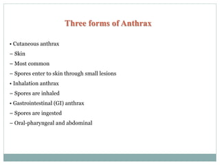 Three forms of Anthrax
• Cutaneous anthrax
– Skin
– Most common
– Spores enter to skin through small lesions
• Inhalation anthrax
– Spores are inhaled
• Gastrointestinal (GI) anthrax
– Spores are ingested
– Oral-pharyngeal and abdominal
 
