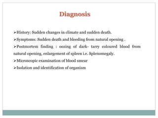 Diagnosis
History: Sudden changes in climate and sudden death.
Symptoms: Sudden death and bleeding from natural opening .
Postmortem finding : oozing of dark- tarry coloured blood from
natural opening, enlargement of spleen i.e. Splenomegaly.
Microscopic examination of blood smear
Isolation and identification of organism
 