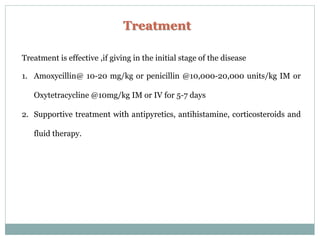 Treatment
Treatment is effective ,if giving in the initial stage of the disease
1. Amoxycillin@ 10-20 mg/kg or penicillin @10,000-20,000 units/kg IM or
Oxytetracycline @10mg/kg IM or IV for 5-7 days
2. Supportive treatment with antipyretics, antihistamine, corticosteroids and
fluid therapy.
 