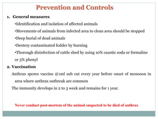 Prevention and Controls
1. General measures
•Identification and isolation of affected animals
•Movements of animals from infected area to clean area should be stopped
•Deep burial of dead animals
•Destroy contaminated fodder by burning
•Thorough disinfection of cattle shed by using 10% caustic soda or formaline
or 5% phenyl
2. Vaccination
Anthrax spores vaccine @1ml sub cut every year before onset of monsoon in
area where anthrax outbreak are common
The immunity develops in 2 to 3 week and remains for 1 year.
Never conduct post-mortem of the animal suspected to be died of anthrax
 