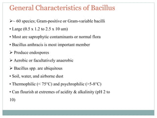 General Characteristics of Bacillus
~ 60 species; Gram-positive or Gram-variable bacilli
• Large (0.5 x 1.2 to 2.5 x 10 um)
• Most are saprophytic contaminants or normal flora
• Bacillus anthracis is most important member
 Produce endospores
 Aerobic or facultatively anaerobic
 Bacillus spp. are ubiquitous
• Soil, water, and airborne dust
• Thermophilic (< 75°C) and psychrophilic (>5-8°C)
• Can flourish at extremes of acidity & alkalinity (pH 2 to
10)
 
