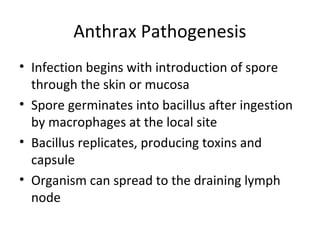 Anthrax Akaki 20161129 | PPT