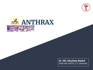 ANTHRAX
Dr. Md. Mushtaq Wadud
DVM, MS (HSTU), CT (Chennai)
 